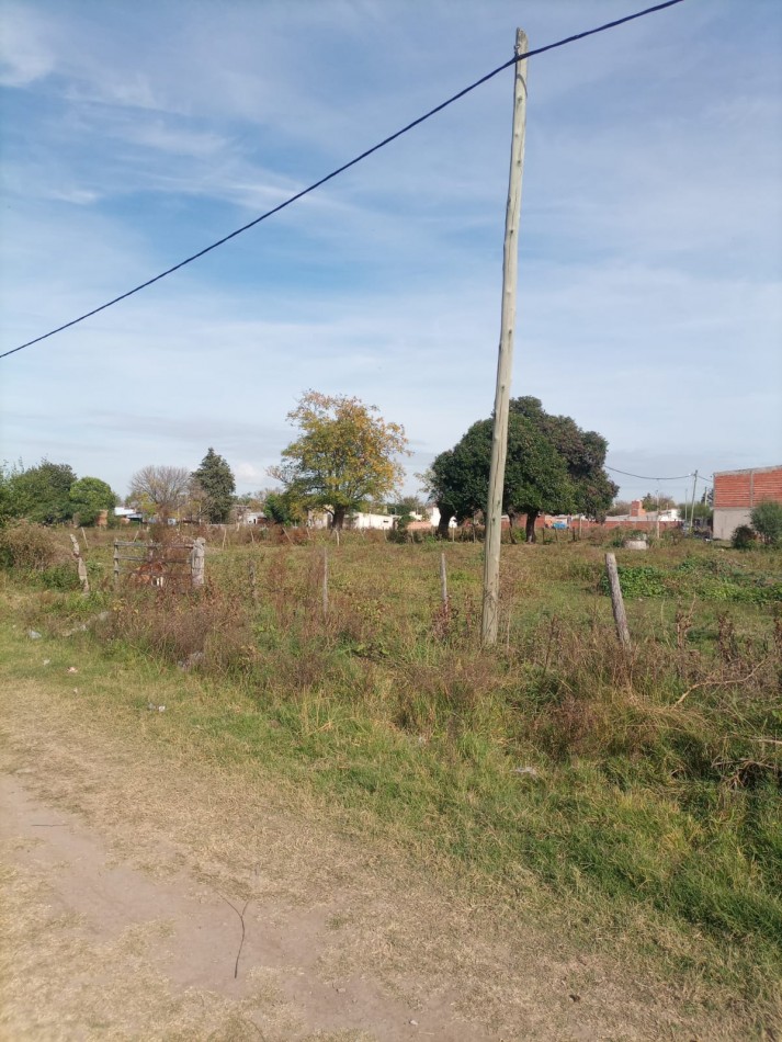 TERRENO