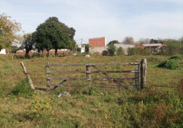 TERRENO